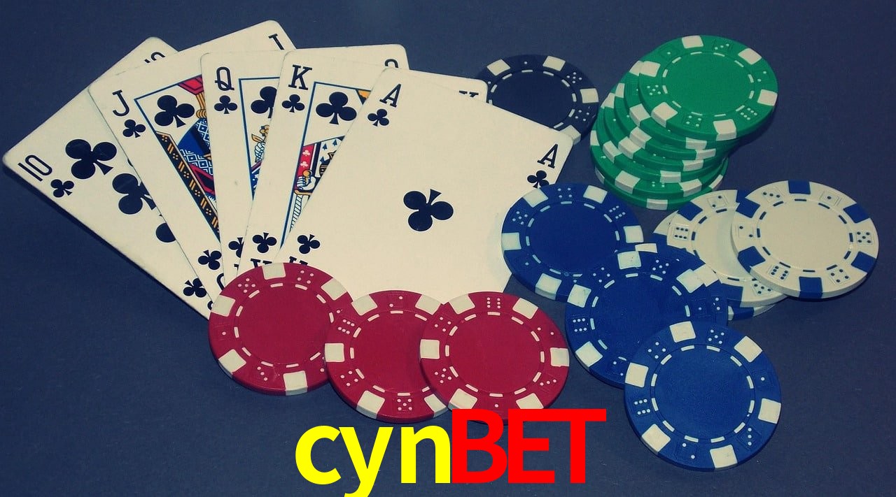 Live Casino cynbet